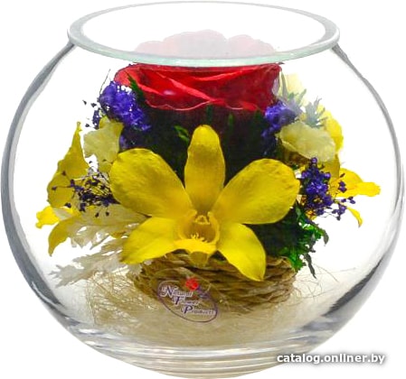 

Цветы, букеты Natural Flower Products Композиция из красных роз и желтых орхидей IZT4