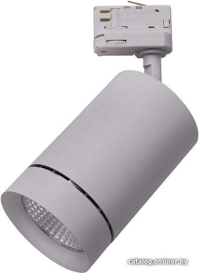 

Трековый светильник Lightstar Canno 303592