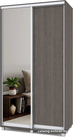 

Шкаф-купе Modern Роланд 1200 (450) (анкор темный/зеркало)