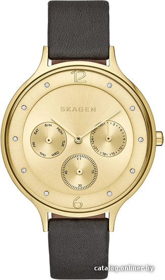 

Наручные часы Skagen SKW2393