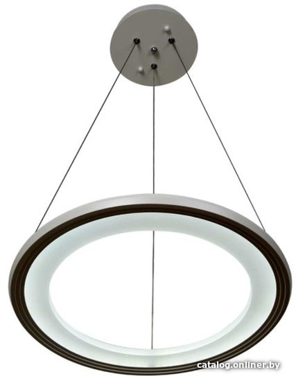 

Подвесная люстра Stilfort Hoop 2087/71/01C