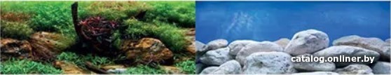 

Фон Barbus Водный сад. Яркие камни Background 017 45 см х 94 см