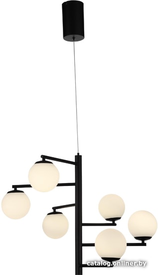 

Подвесная люстра ST Luce Donolo SL395.413.06