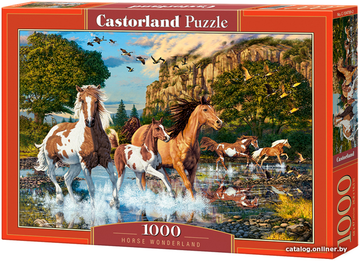 

Пазл Castorland Бегущие по воде C-104789 (1000 эл)