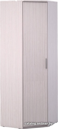 

Шкаф распашной Шатура Rimini Flash F9D-01.CG 483767