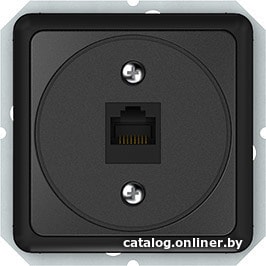 

Розетка компьютерная Vilma Spectrum SP 300 KLRJ45-15e1-02 an