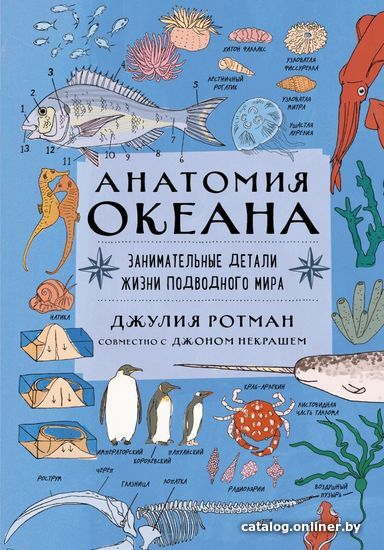 

Книга издательства Эксмо. Анатомия океана. Занимательные детали жизни подводного мира (Ротман Джулия/Некраш Джон)