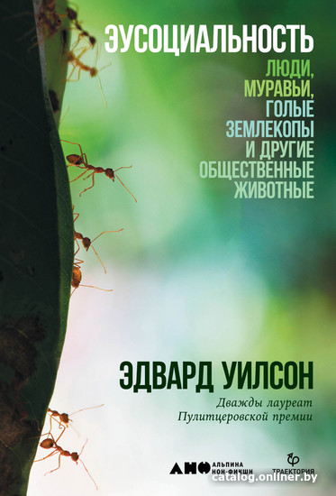 

Книга издательства Альпина Диджитал. Эусоциальность. Люди, муравьи, голые землекопы (Уилсон Э.)