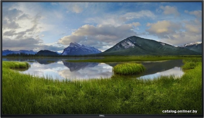 

Информационный дисплей Dell C5519Q