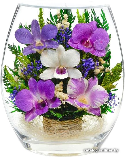 

Цветы, букеты Natural Flower Products Композиция из фиолетовых, белых и фиолетово-белых орхидей LOV3