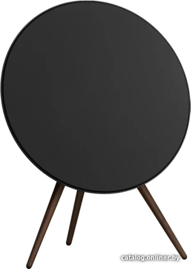 

Напольная акустика Bang & Olufsen BeoPlay A9 (черный, 4-ое поколение)