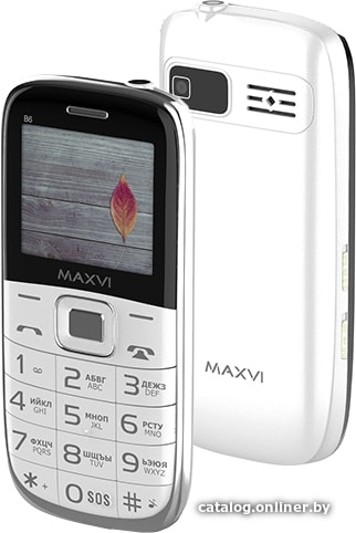 

Кнопочный телефон Maxvi B6 (белый)