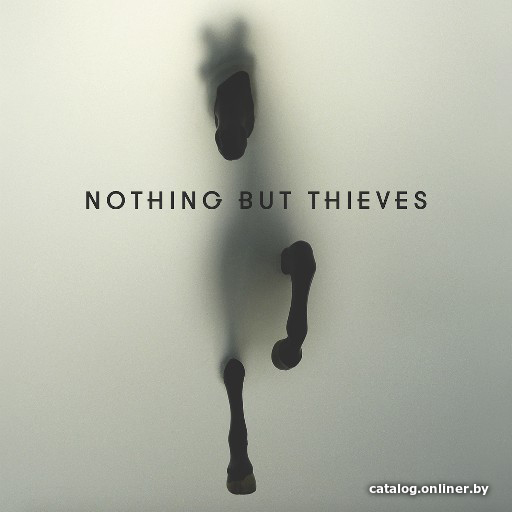 

Виниловая пластинка Nothing But Thieves ‎- Nothing But Thieves