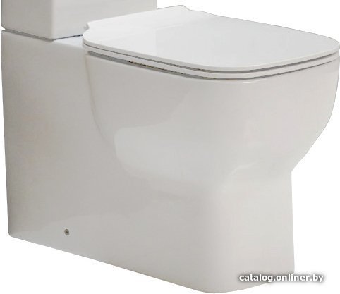 

Унитаз напольный BelBagno Vaso BB127CP (без бачка, без сиденья)