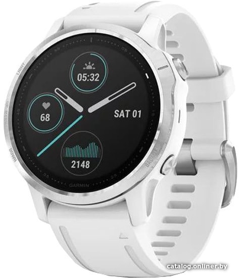 

Умные часы Garmin Fenix 6s (серебристый/белый)