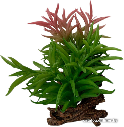

Искусственное растение Terra Della Крассула 242/465868