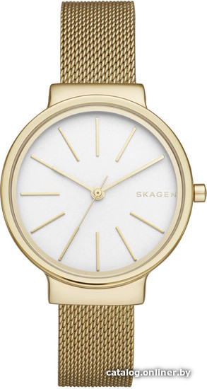 

Наручные часы Skagen SKW2477
