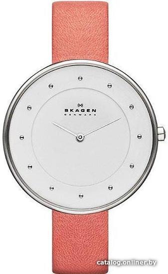 

Наручные часы Skagen SKW2135