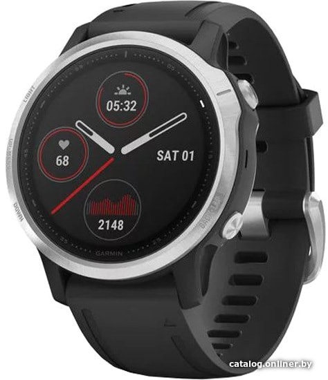 

Умные часы Garmin Fenix 6s (серебристый/черный)