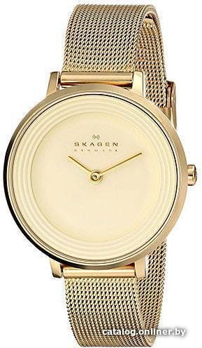 

Наручные часы Skagen SKW2212