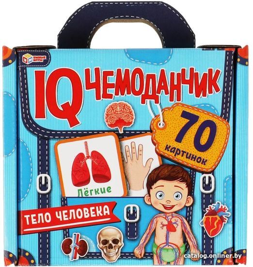 

Развивающая игра Умные игры Тело человека. IQ чемоданчик 4680107954305