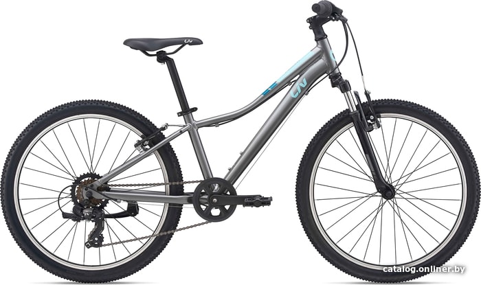 

Велосипед Giant Liv Enchant 24 2021
