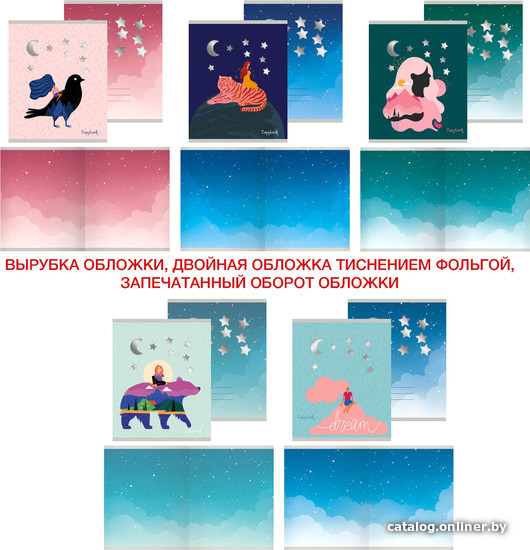 

Общая тетрадь Канц-Эксмо Волшебные грезы ТК2Л487239 (48 л)