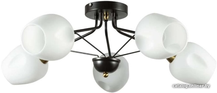 

Люстра средней высоты Arte Lamp Brighton A2706PL-5CK