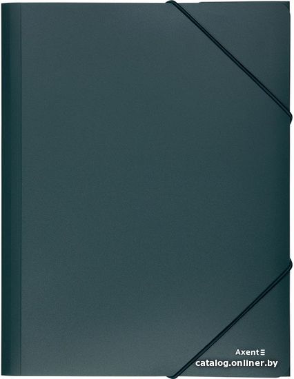 

Папка для бумаг Axent 1508-05-A (зеленый)