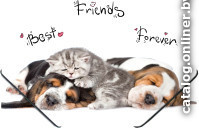 

Папка для бумаг Panta Plast Friends 0410-0064-49 (цветной)
