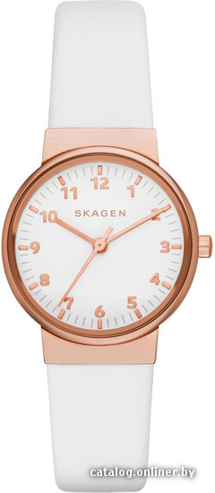 

Наручные часы Skagen SKW2290