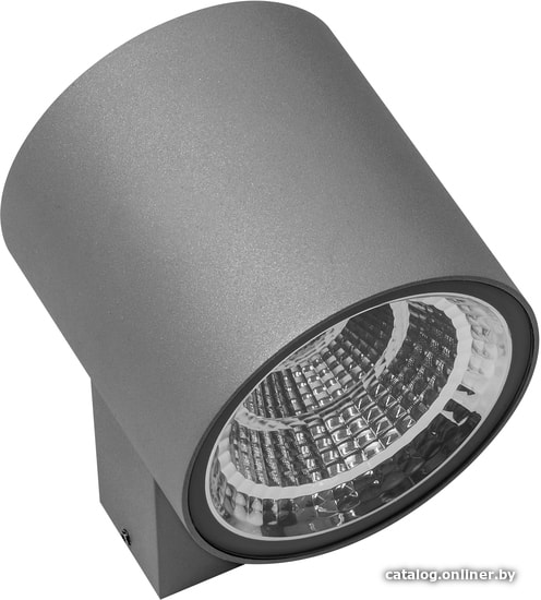 

Фасадный светильник Lightstar Paro 361692