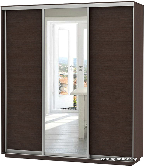 

Шкаф-купе Vivat Mebel D3-02 220x60 (черное дерево)