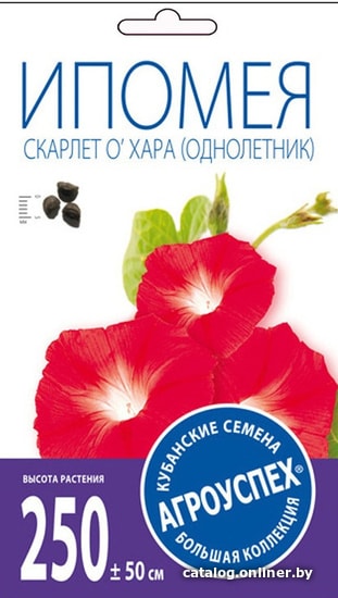 

Семена цветов Агроуспех Ипомея Скарлет О'Хара О 27214 1 г