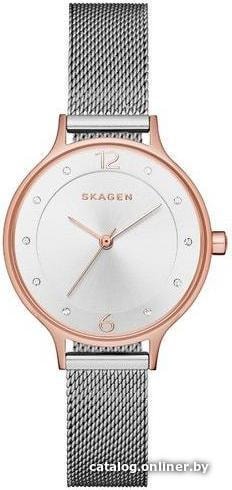 

Наручные часы Skagen SKW1069