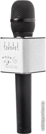 

Микрофон MicGeek Q9 (черный)