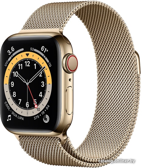 

Умные часы Apple Watch Series 6 LTE 40 мм (сталь золотистый/миланский золотой)