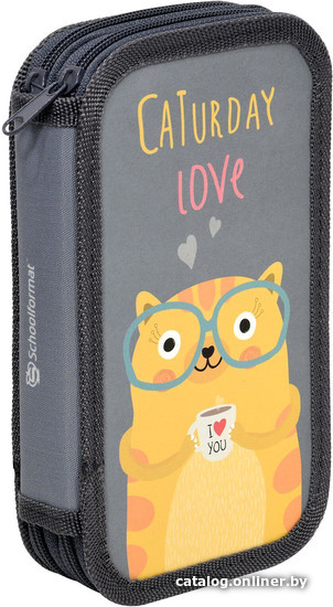 

Пенал Schoolformat Clever Cat ПК2С-КЛК