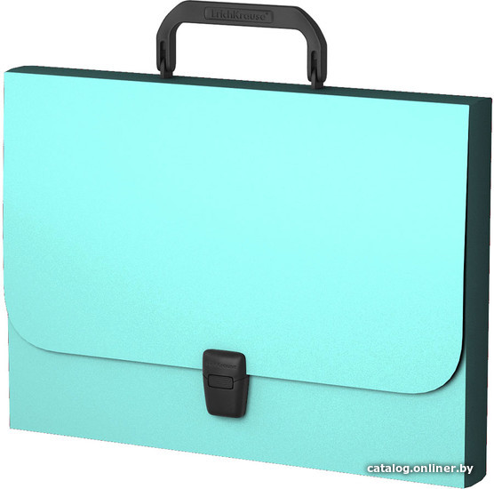 

Папка-портфель Erich Krause Matt Pastel Mint FC 53518 (мятный)