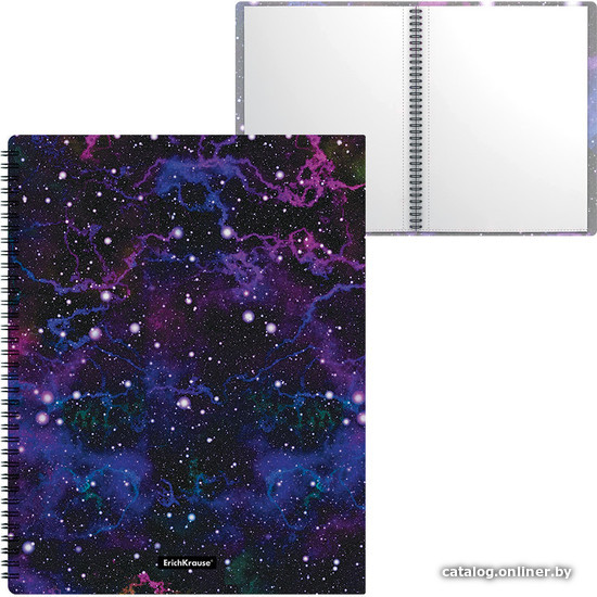 

Набор папок Erich Krause Purple Stardust 40 карман. 52780 (4 шт)