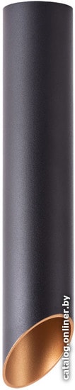 

Светильник Arte Lamp Pilon-Gold A1536PL-1BK