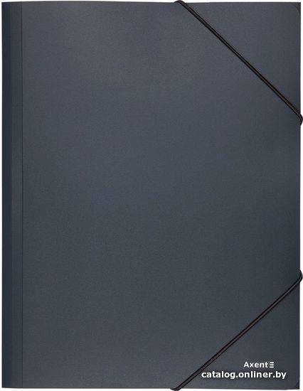 

Папка для бумаг Axent 1508-03-A (Серый)