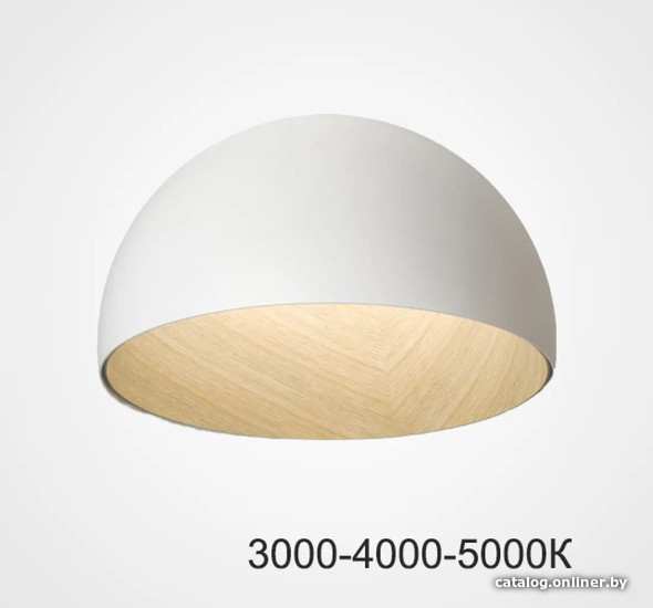 

Люстра средней высоты ImperiumLoft Bara01 224003-23