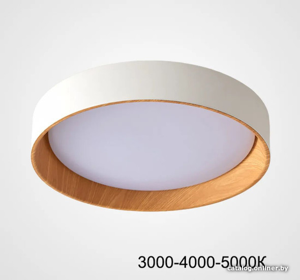 

Светильник-тарелка ImperiumLoft Wenny01 223983-23