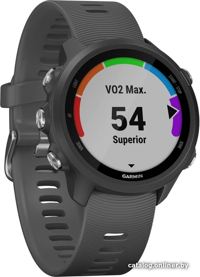 

Умные часы Garmin Forerunner 245 (серый)