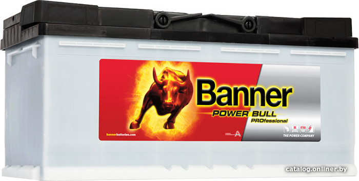 

Автомобильный аккумулятор Banner Power Bull PROfessional P100 40 (100 А/ч)