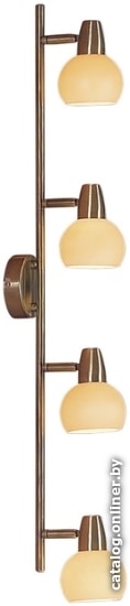 

Точечный светильник Citilux Бонго CL516543