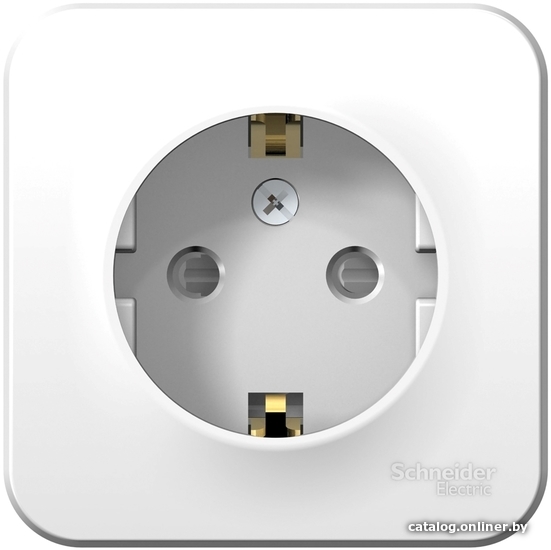 

Розетка Schneider Electric Blanca BLNRA011101