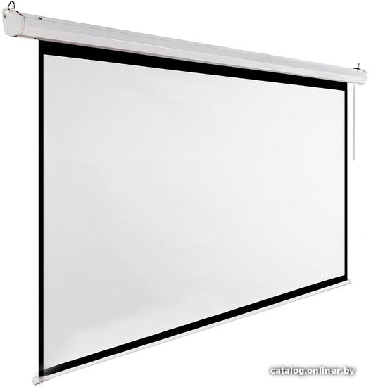 

Проекционный экран Future Vision Video Electric 330 338x255 E330VMW