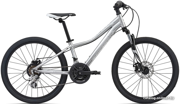 

Велосипед Giant Liv Enchant 24 Disc 2020 (серебристый)